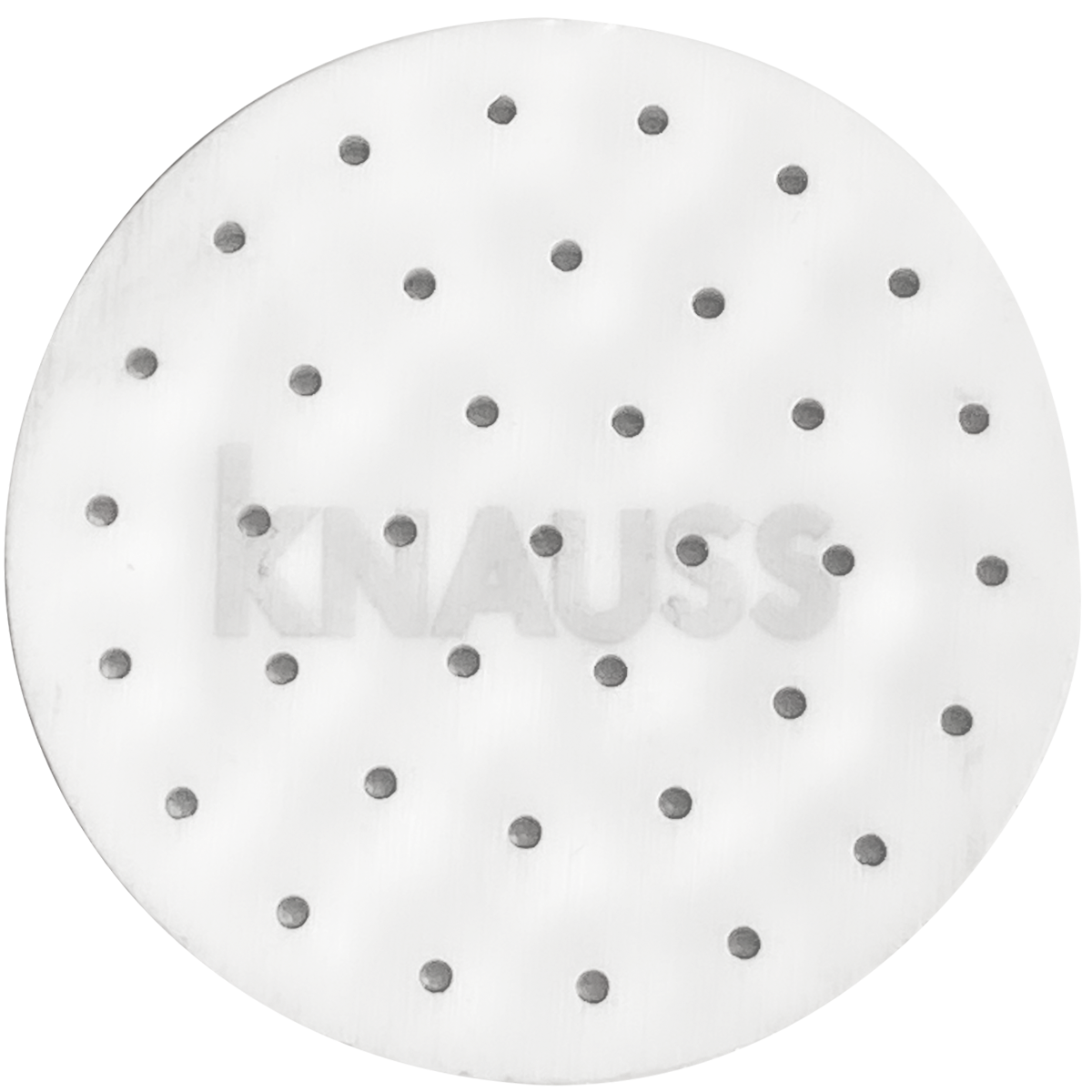 Brausesieb einzeln ohne Dichtung zu Kopf A1-1011 weiss RAL 9010