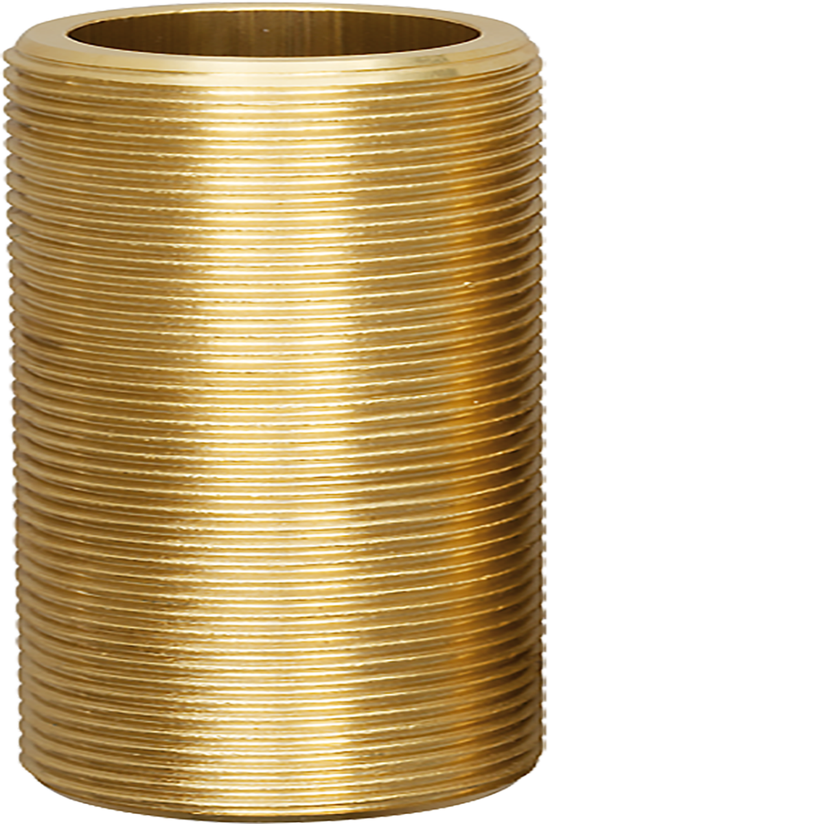 Gewindestutzen 2" L 80 mm